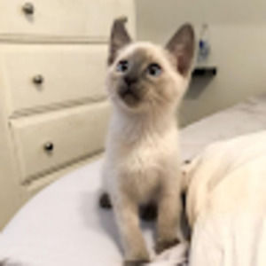 Meet your Posher, Emma